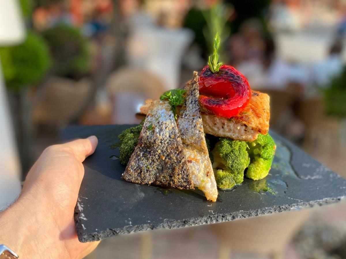 Malom Club Panzio Bed & Breakfast Baja Dış mekan fotoğraf